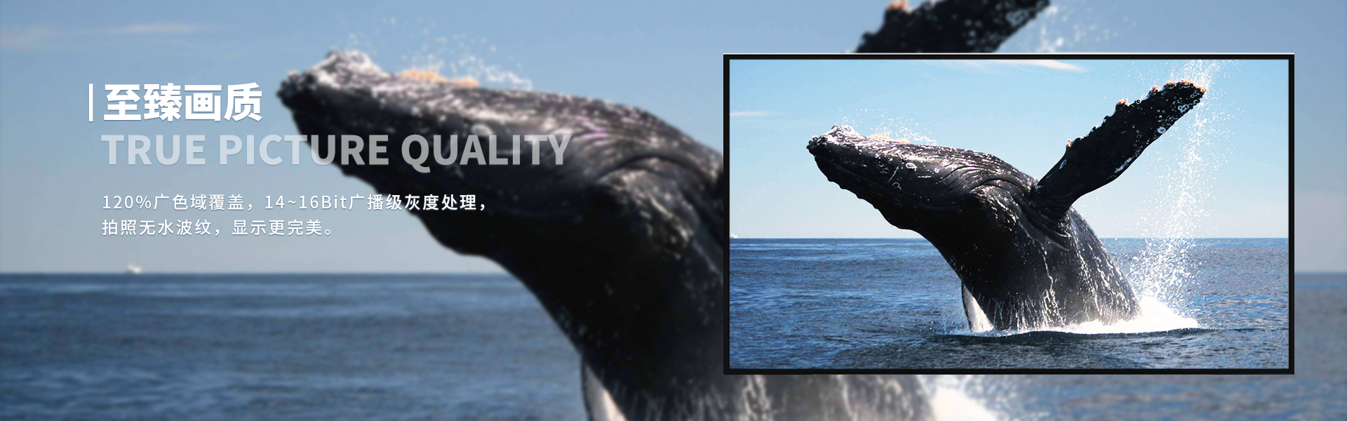 1663808293609.jpg 4k(1).jpg